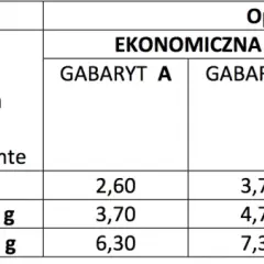 List polecony ekonomiczny: co to jest i ile może ważyć?