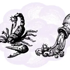 Skorpion i Wodnik - jak te znaki zodiaku się dogadują? Najważniejsze informacje