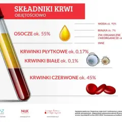 Co to jest jednostka krwi i ile dokładnie wynosi jej objętość - Poznaj fakty