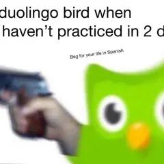 Najśmieszniejsze memy z Duolingo, które rozbawią Cię do łez!