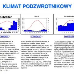 Klimat podzwrotnikowy: poznaj temperatury i charakterystyczne cechy