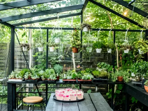  Restauracje z ogrodami w Warszawie | Sprawdź TOP10 i rezerwuj stolik już dziś!