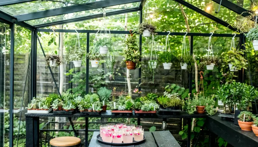  Restauracje z ogrodami w Warszawie | Sprawdź TOP10 i rezerwuj stolik już dziś!