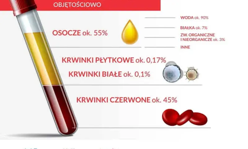 Co to jest jednostka krwi i ile dokładnie wynosi jej objętość - Poznaj fakty