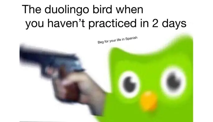 Najśmieszniejsze memy z Duolingo, które rozbawią Cię do łez!