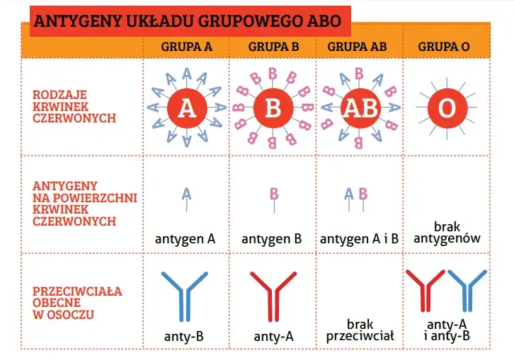 Zdjęcie Co oznacza jednostka krwi i ile to dokładnie jest - pełna definicja medyczna
