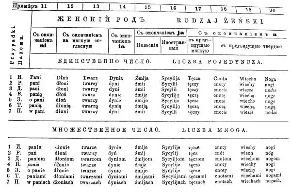Zdjęcie Liczba dwa w języku polskim: zasady gramatyczne i praktyczne przykłady